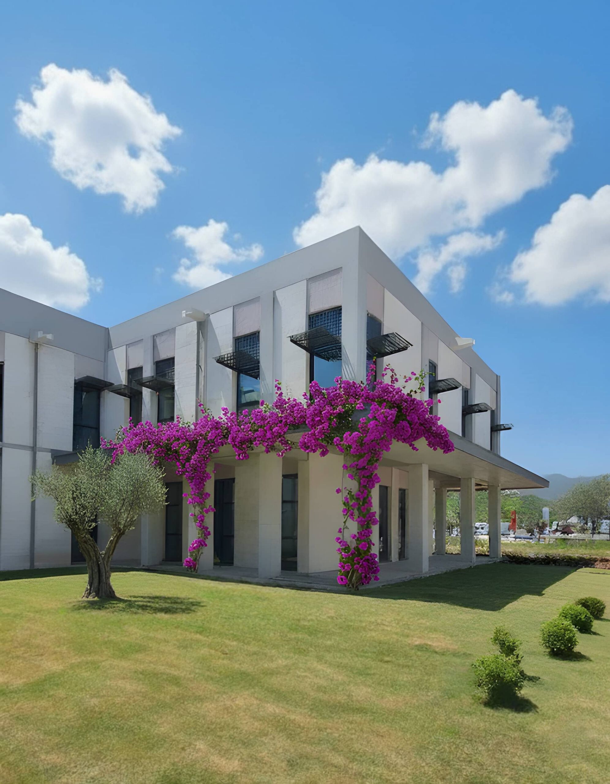 Aegeantic Office